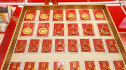 Mise à jour du prix de l'or cet après-midi, 12 février 2026 : Il reste à 181 millions de VND.