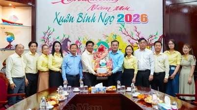 Le vice-président du Comité populaire provincial, Ngo Vu Thang, adresse ses vœux de Nouvel An aux organismes culturels et artistiques.