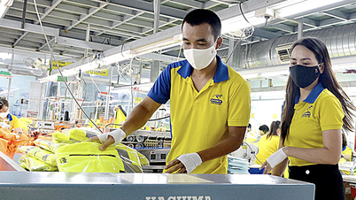 Développement du secteur privé : créer des opportunités et rehausser les normes pour les PME vietnamiennes.