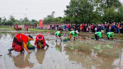 Thai Nguyen'de 2026 yılında düzenlenen 336 Bahar Festivali
