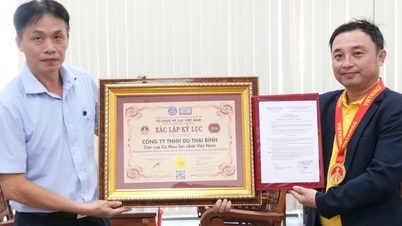 Décernement du record du « plus gros crabe Ca Mau du Vietnam »