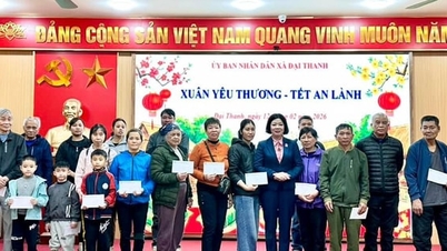 Primavera do Amor - Um Tet Pacífico em Dai Thanh