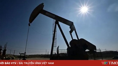 قیمت جهانی نفت همچنان در حال افزایش است.
