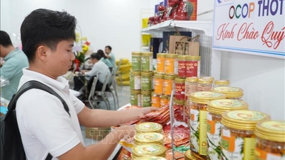 តេតប៊ិញង៉ូ ឆ្នាំ២០២៦៖ នៅពេលដែលទំនិញវៀតណាមគ្រងរាជ្យលើផ្ទៃទឹកនៃទន្លេមេគង្គ។