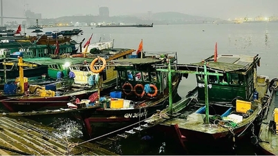 A stormy Tet holiday for fishermen who cling to the sea.