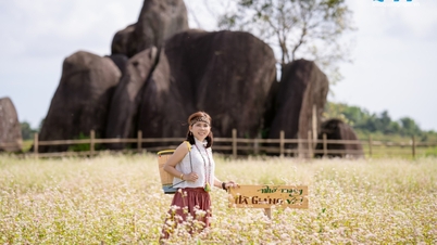 កន្លែងថតរូបជាច្រើននៅខេត្តក្វាងង៉ាយត្រូវបានតុបតែងលម្អដោយផ្កាបុណ្យតេតដ៏រស់រវើក។