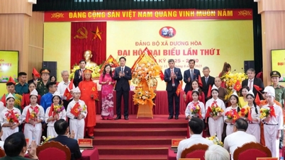 Comuna de Duong Hoa (ciudad de Hanoi): Las cifras "reveladoras" y la aspiración a la innovación.
