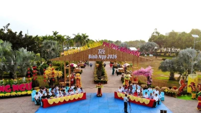 Opening of the spring flower street in Hong Ngu ward.