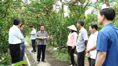 Deputy Speaker of the National Assembly Le Minh Hoan visits Lan Anh Pink Mandarin Garden.