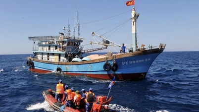 Selama dua tahun terakhir, Kota Ho Chi Minh telah menangani 830 kapal penangkap ikan yang terlibat dalam penangkapan ikan ilegal.