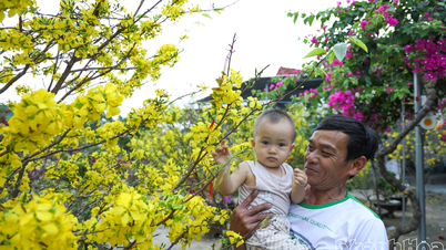 Spring arrives in the flood-affected areas.
