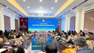 Hanoi ha establecido 35 sindicatos de base con más de 6.500 miembros.