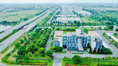 Hai Phong Özel Ekonomik Bölgesi'nin Kurulması