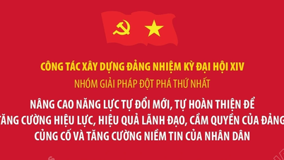 Three main groups of solutions for Party building work during the 14th Party Congress term.