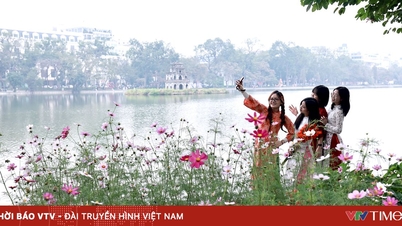 আসুন আও দাই দিয়ে হ্যানয়ের বসন্তের রঙ সংরক্ষণ করি।
