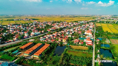 នាយករដ្ឋមន្ត្រី​បាន​សម្រេច​បង្កើត​តំបន់​សេដ្ឋកិច្ច​ពិសេស​ហៃផុង។
