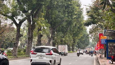 Prévisions météo pour le 13 février : Le nord du Vietnam connaîtra des températures froides le matin et le soir.