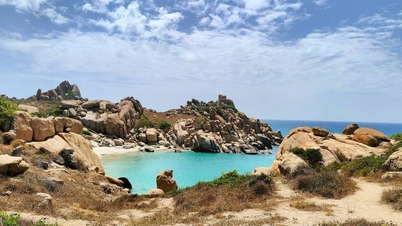Le printemps sur l'île de Hon Cau commence par la mer.