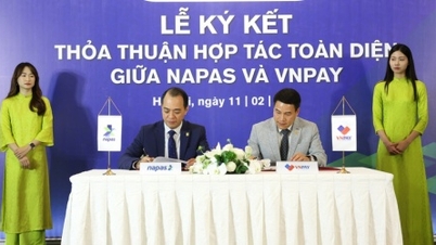ویتنامی‌هایی که به خارج از کشور سفر می‌کنند می‌توانند از اپلیکیشن VNPay برای اسکن کدهای پرداخت استفاده کنند.