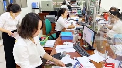 푸옌 인민신용기금의 효율적인 자본 유입