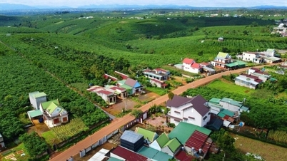Nueva normativa sobre conversión de terrenos agrícolas en suelo residencial.