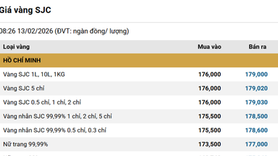 Precios del oro hoy, 13 de febrero de 2026: los precios nacionales del oro disminuyeron en 2 millones de VND, los precios mundiales del oro cayeron por debajo de los 5000 USD.