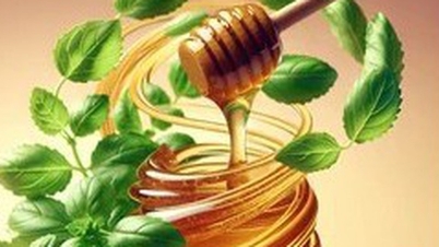 Каковы преимущества сочетания базилика с медом?