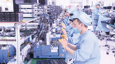 Bac Ninh: Groeidoelstellingen direct vanaf het begin van het jaar gerealiseerd.