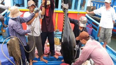 Продукція Ocean відповідає міжнародним стандартам.