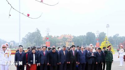 Partei- und Staatsführer besuchten das Mausoleum von Präsident Ho Chi Minh anlässlich des chinesischen Neujahrsfestes im Jahr des Pferdes (Bính Ngọ).
