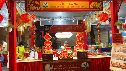 Vinh Long tiene 14 empresas que participan en el mercado de flores de primavera "En el muelle, debajo del barco" en el muelle Binh Dong.