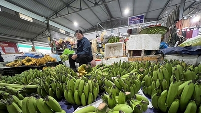 بازار تت شاهد افزایش تقاضا است: موز سبز و گوشت خوک تقاضای زیادی دارند.