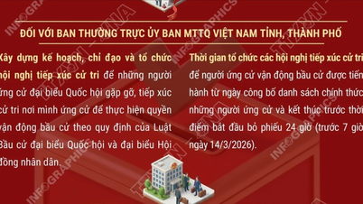 Lucrări electorale în urma celei de-a 3-a reuniuni consultative a Prezidiului Comitetului Central al Frontului Patriei Vietnam.