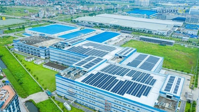 Luxshare-ICT Bac Ninh: Megerősíti pozícióját, mint a közösség és alkalmazottai iránt elkötelezett vállalkozás.