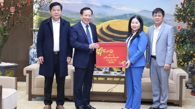 O vice-ministro Le Duc Luan visita e envia felicitações de Ano Novo a instalações médicas na província de Lao Cai.