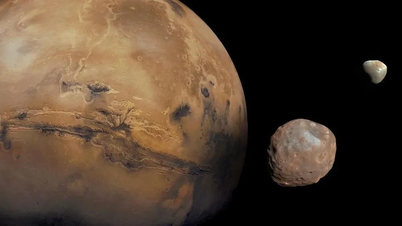 Hat die NASA vor 50 Jahren die Chance verpasst, Leben auf dem Mars zu finden?