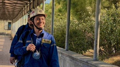 פיזור הצבע הירוק על פני אתרי כריית הפחם.