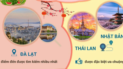 نئے قمری سال (گھوڑے کا سال) کے لیے ویتنامی سفری رجحانات: Phu Quoc، Da Lat، اور تھائی لینڈ سرفہرست مقامات ہیں۔