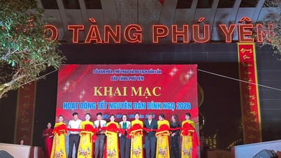 Atividades emocionantes para o Ano Novo Lunar de 2026 no Museu Phu Yen.