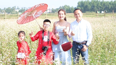 Impressionantes campos de trigo sarraceno no coração da cidade de Quang Ngai.