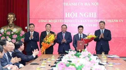 Encik Bui Duy Cuong ialah Pengarah Jabatan Pertanian dan Alam Sekitar Hanoi.