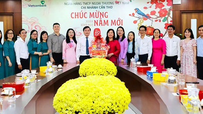Ms. Nguyen Thi Ngoc Diep visited and extended New Year greetings to two banks and the Can Tho City Development Investment Fund.