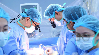 L'hôpital militaire central 108 a réalisé avec succès 221 transplantations d'organes en 2025.