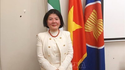 Meningkatkan promosi perdagangan dan menghubungkan perniagaan Vietnam dan Itali.