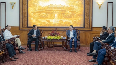 El vicepresidente del Comité Popular de la ciudad de Da Nang, Hoang Hai Minh, recibió y trabajó con la Organización Mundial de la Naturaleza en Vietnam.