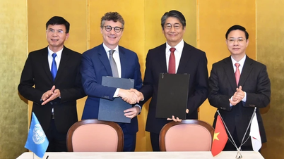 A UNESCO e o Japão apoiam o fortalecimento da capacidade de prevenção de desastres e da segurança escolar no Vietnã.