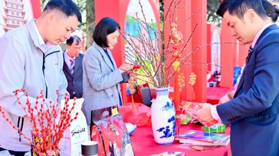 Konsulat Jeneral Vietnam di Kunming telah menyertai Festival Musim Bunga Wilayah Yunnan, China.