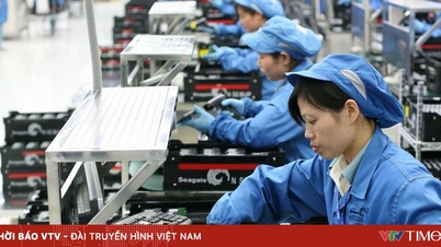 Světová banka: Vietnam vstupuje do nového cyklu růstu ze solidní pozice.