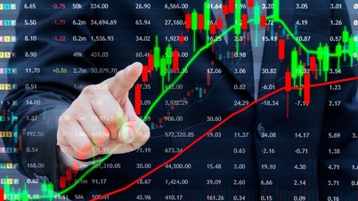 VN-Index reverses course at the last minute, rising 10 points before the Lunar New Year holiday.