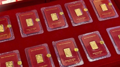 Harga emas petang ini, 13 Februari 2026: Harga emas SJC, harga cincin emas 9999, carta harga penutupan emas terperinci.
